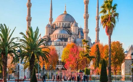 Istanbul Holidays & City Breaks: Where History Meets Modern Magic