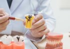 Tooth Fracture Guide: Causes, Symptoms, and Treatment Options