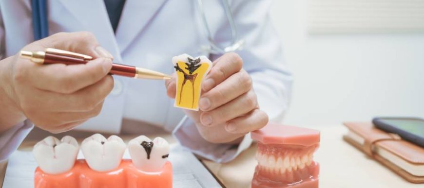 Tooth Fracture Guide: Causes, Symptoms, and Treatment Options